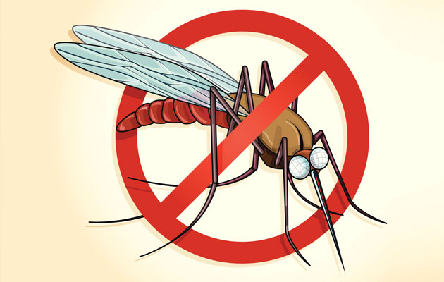 Welcome rains without getting prey of malaria and other mosquitoes bitten diseases. Know how!
