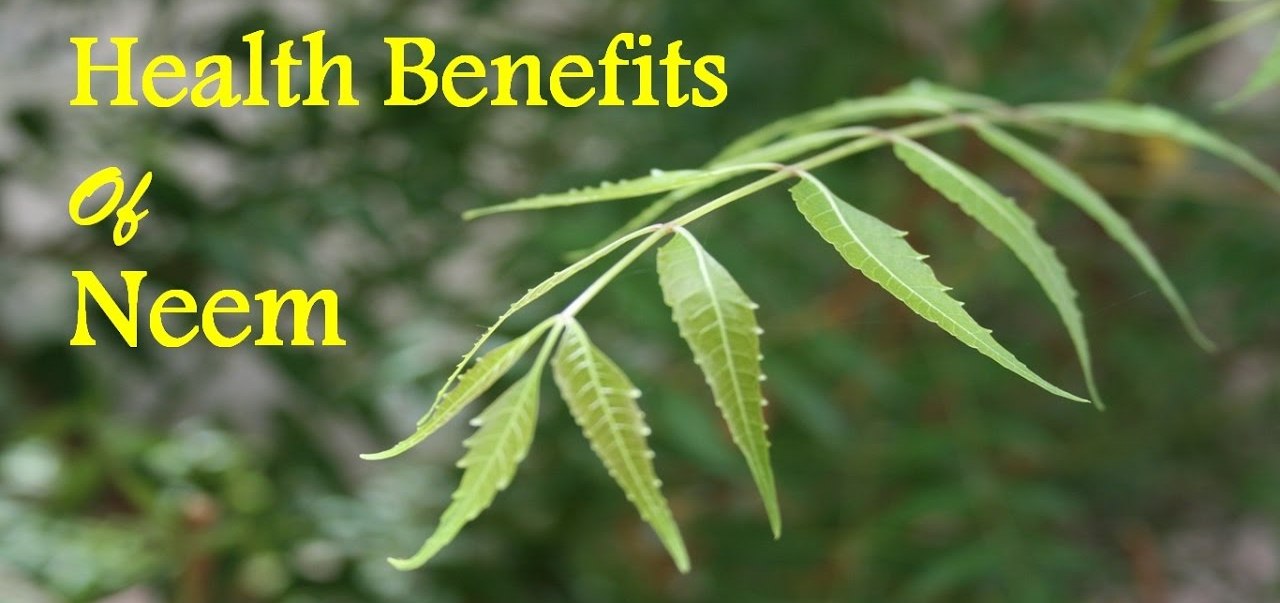 Do you know these magical benefits of neem?