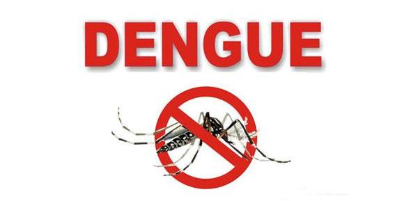 With extended summers, dengue menace troubling all. Here are some prevention.