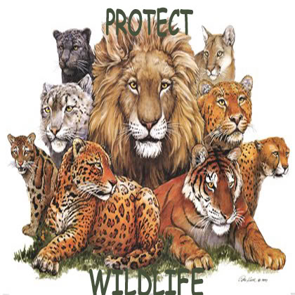 Protect wildlife to protect 'ourselves.'