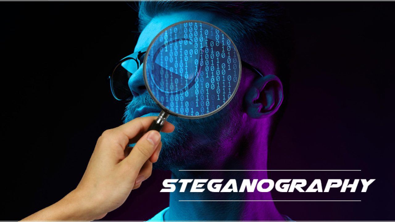 The Latest Trends in Steganography.
