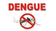 z_p03-Dengue-prevention1